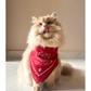 旺鱼 Pawsperity Square Bandana